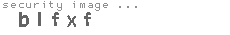 security image