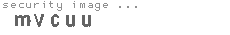 security image