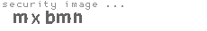 security image