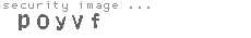 security image