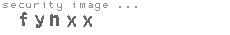 security image