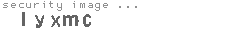 security image