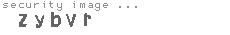 security image