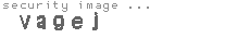 security image