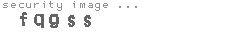 security image