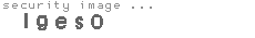 security image