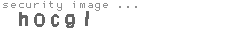 security image