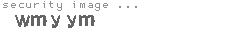 security image