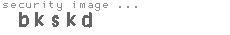 security image