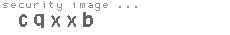 security image