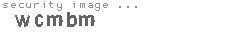 security image