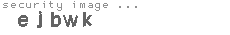 security image