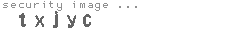security image