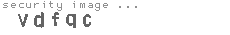 security image