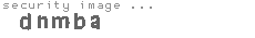 security image