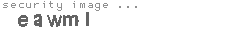 security image
