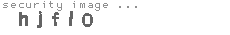 security image
