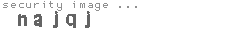 security image