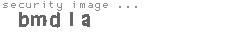 security image