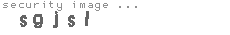 security image