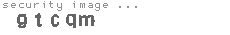 security image