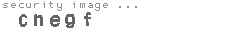 security image