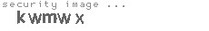 security image
