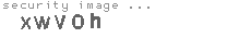 security image