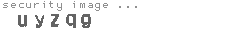 security image