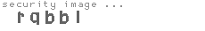 security image