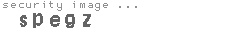 security image
