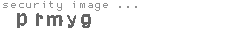 security image