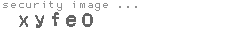 security image