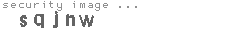 security image