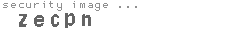 security image