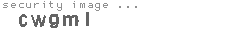 security image