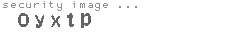 security image