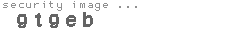 security image