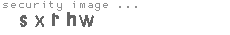security image