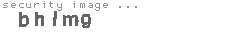 security image