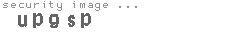 security image