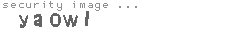 security image