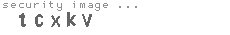 security image