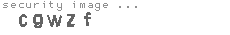 security image