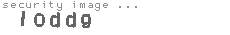 security image