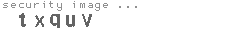 security image