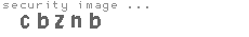 security image