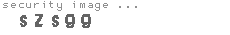security image