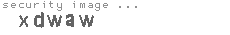 security image