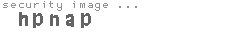 security image